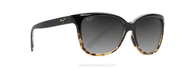 4DRP279 negro con tortuga/gris neutro gafas de sol de moda polarizadas con estrellas de mar Maui Jim