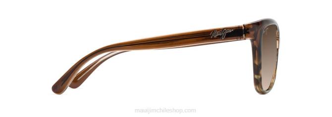 4DRP281 chocolate translúcido con tortuga/hcl bronce gafas de sol de moda polarizadas con estrellas de mar Maui Jim